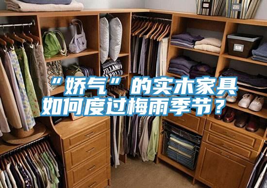 “嬌氣”的實木家具如何度過梅雨季節?