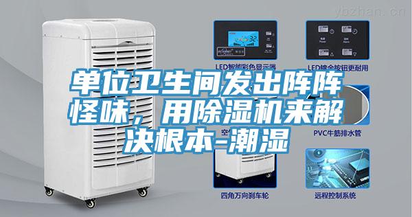 單位衛(wèi)生間發(fā)出陣陣怪味，用除濕機來解決根本-潮濕