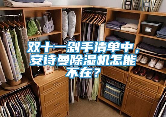 雙十一剁手清單中，安詩曼除濕機怎能不在？