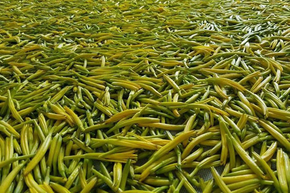 無硫金針菜烘干如何保持品相？不發黑？_除濕機廠家