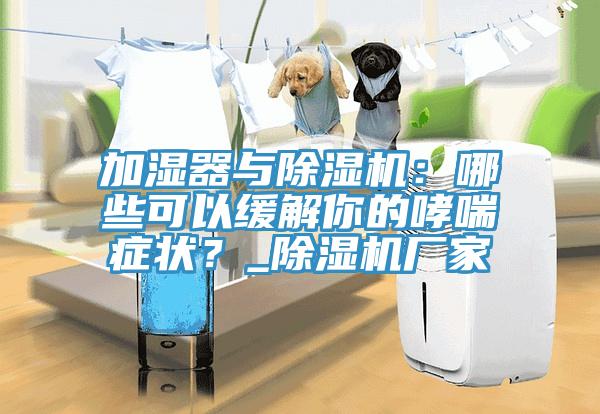 加濕器與除濕機:哪些可以緩解你的哮喘癥狀?_除濕機廠家
