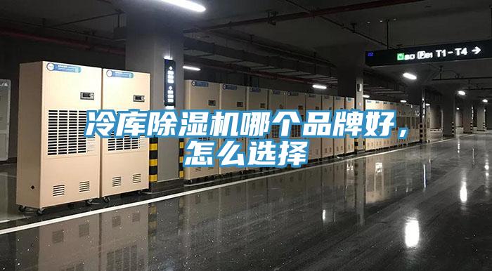 冷庫除濕機哪個品牌好,怎么選擇