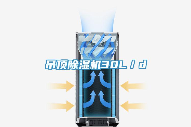 吊頂除濕機30L/d