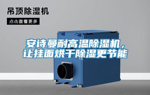 安詩曼耐高溫除濕機(jī),讓掛面烘干除濕更節(jié)能