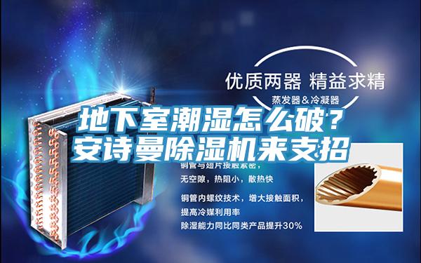 地下室潮濕怎么破?安詩曼除濕機來支招