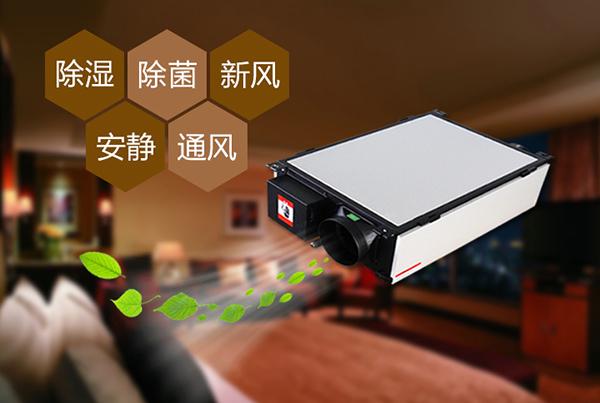 廈門除濕機怎么選？