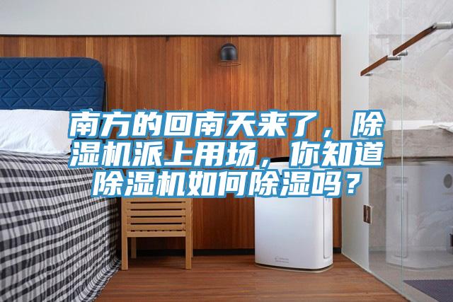 南方的回南天來了，除濕機(jī)派上用場，你知道除濕機(jī)如何除濕嗎？