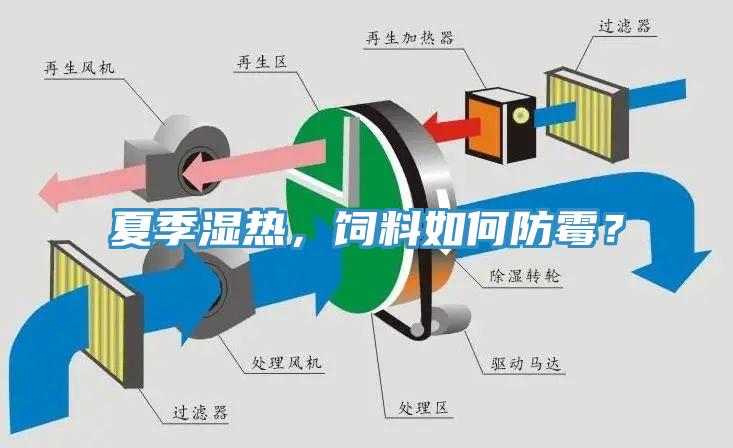 夏季濕熱，飼料如何防霉？