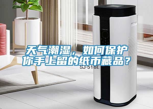 天氣潮濕,如何保護你手上留的紙幣藏品?