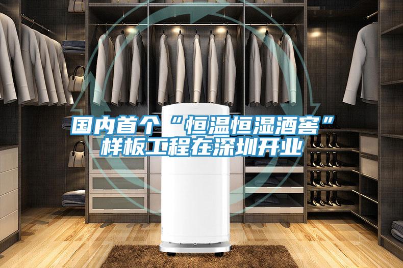 國內首個“恒溫恒濕酒窖”樣板工程在深圳開業(yè)