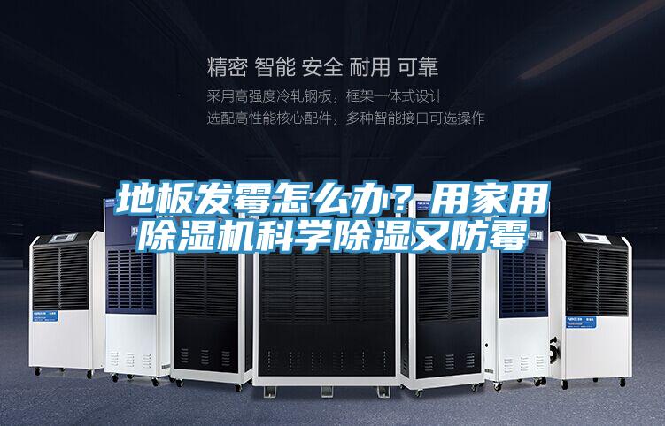 地板發霉怎么辦？用家用除濕機科學除濕又防霉