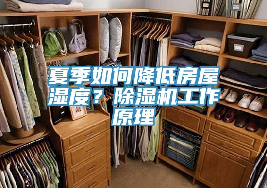 夏季如何降低房屋濕度？除濕機(jī)工作原理