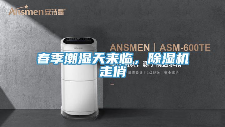 春季潮濕天來臨，除濕機走俏