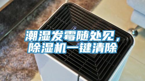 潮濕發(fā)霉隨處見,除濕機一鍵清除