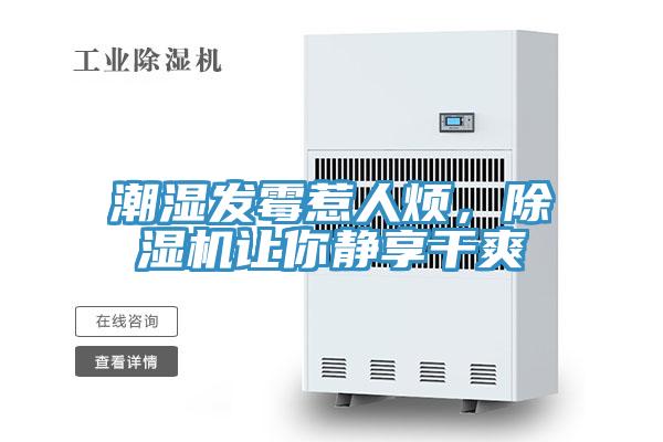 潮濕發(fā)霉惹人煩,除濕機讓你靜享干爽