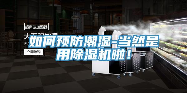 如何預(yù)防潮濕-當(dāng)然是用除濕機(jī)啦!