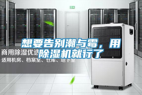 想要告別潮與霉，用除濕機就行了