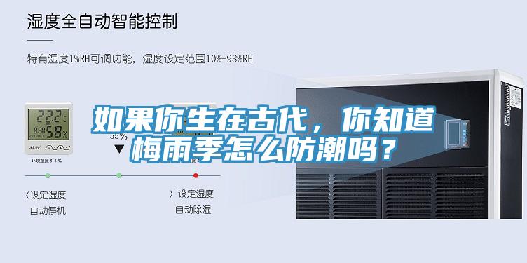 如果你生在古代,你知道梅雨季怎么防潮嗎?