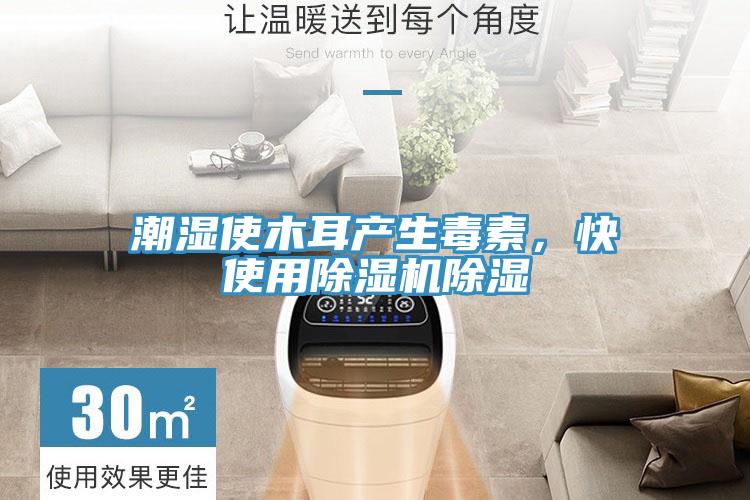 潮濕使木耳產(chǎn)生毒素,快使用除濕機除濕