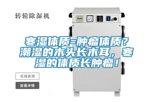 寒濕體質=腫瘤體質？潮濕的木頭長木耳，寒濕的體質長腫瘤！