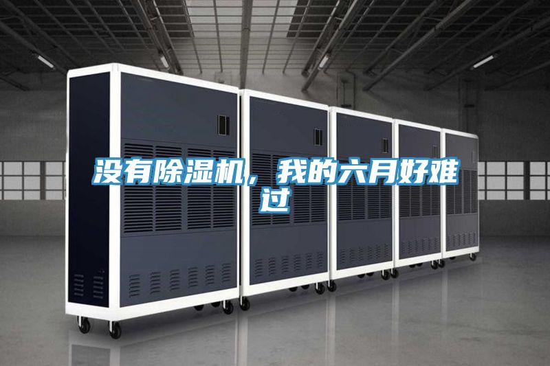 沒有除濕機，我的六月好難過