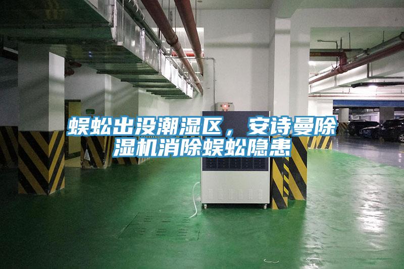 蜈蚣出沒潮濕區，安詩曼除濕機消除蜈蚣隱患