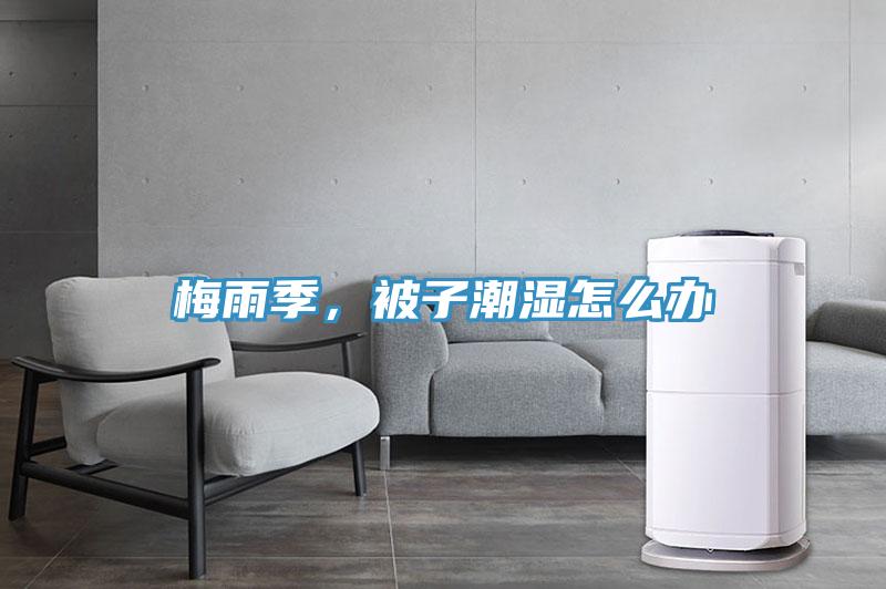 梅雨季,被子潮濕怎么辦