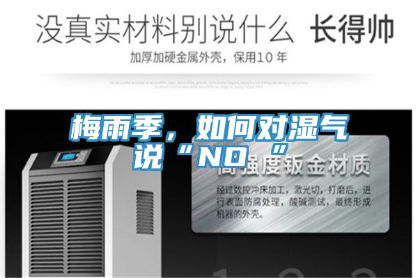 梅雨季,如何對濕氣說“NO ”