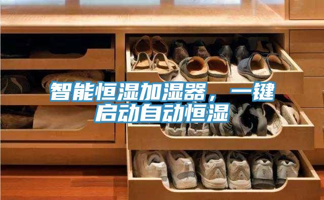智能恒濕加濕器，一鍵啟動自動恒濕