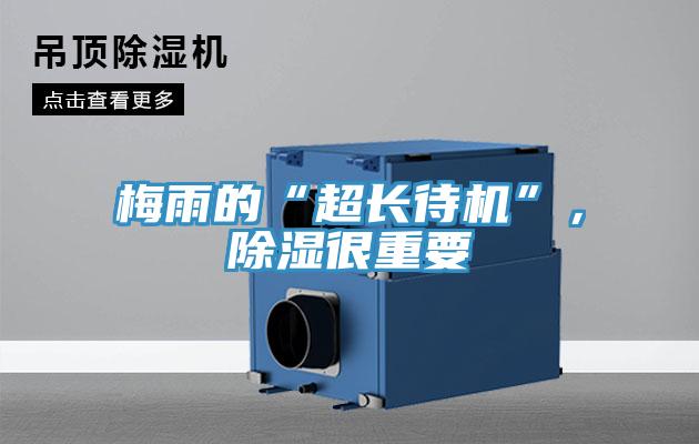 梅雨的“超長待機”,除濕很重要