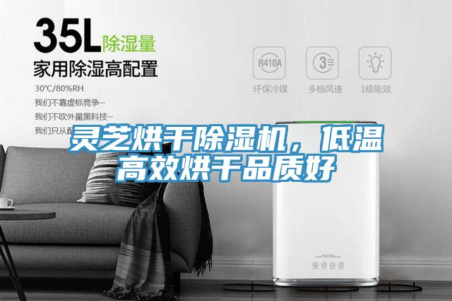 靈芝烘干除濕機(jī),低溫高效烘干品質(zhì)好