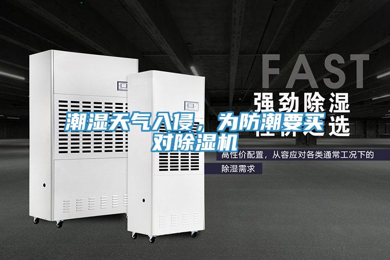 潮濕天氣入侵,為防潮要買對除濕機