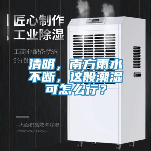 清明,南方雨水不斷,這般潮濕可怎么行?