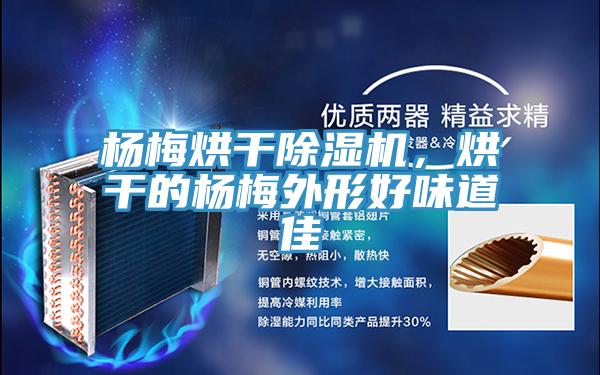 楊梅烘干除濕機(jī)，烘干的楊梅外形好味道佳