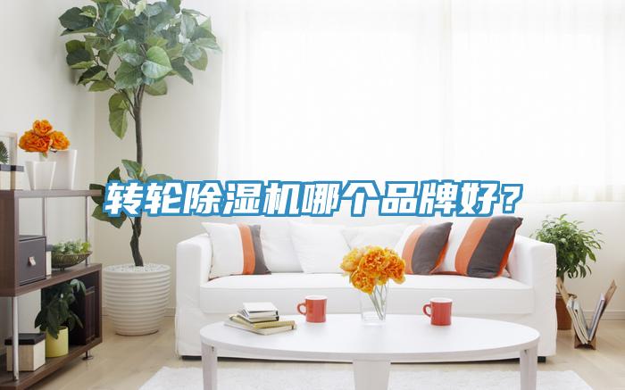 轉輪除濕機哪個品牌好？