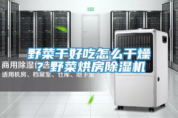 野菜干好吃怎么干燥？野菜烘房除濕機