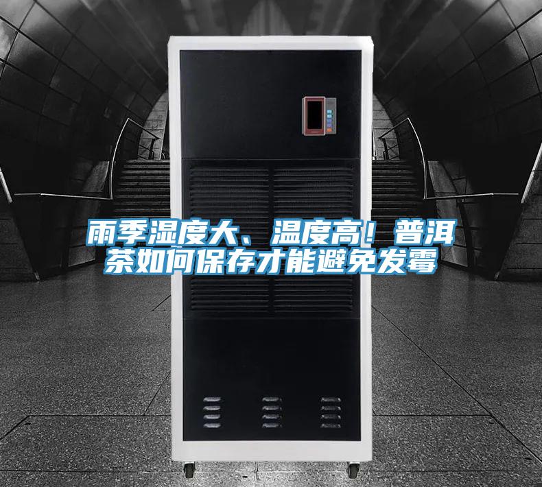 雨季濕度大、溫度高！普洱茶如何保存才能避免發霉