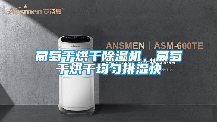 葡萄干烘干除濕機,葡萄干烘干均勻排濕快