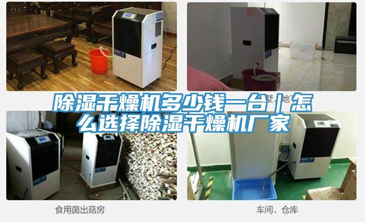 除濕干燥機多少錢一臺|怎么選擇除濕干燥機廠家