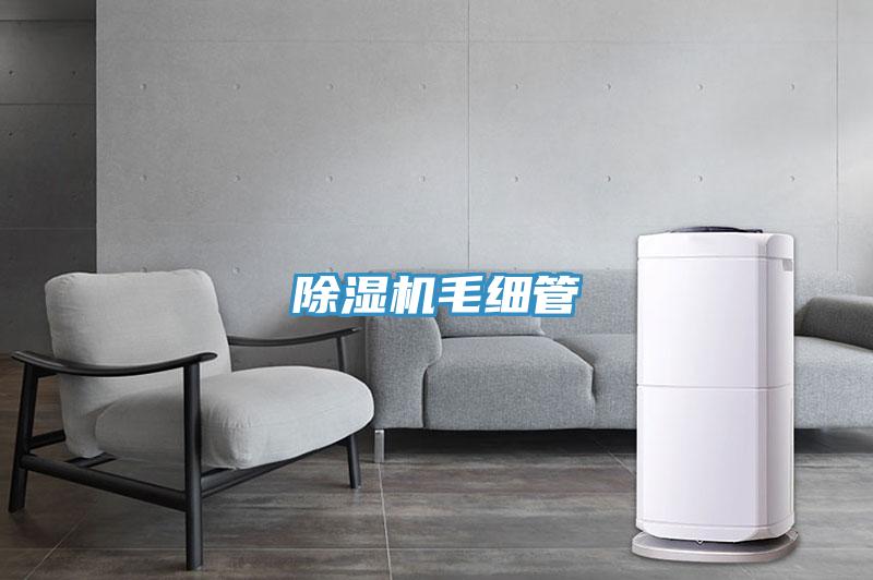 除濕機毛細(xì)管