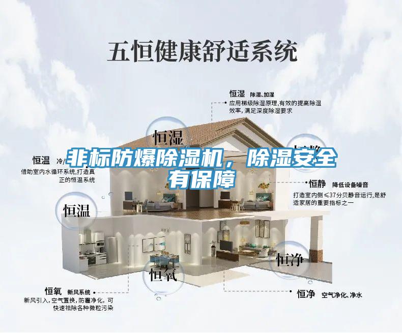 非標防爆除濕機，除濕安全有保障