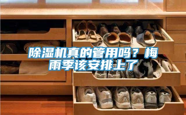 除濕機真的管用嗎？梅雨季該安排上了