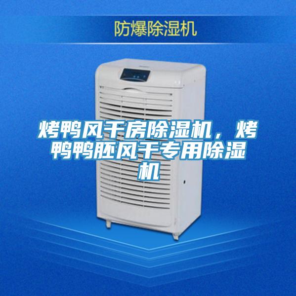 烤鴨風干房除濕機,烤鴨鴨胚風干專用除濕機