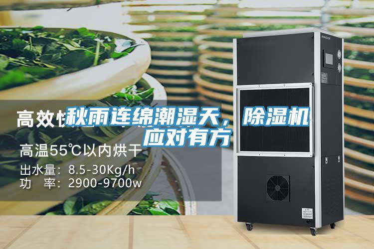 秋雨連綿潮濕天，除濕機應對有方
