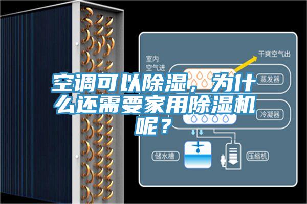 空調可以除濕,為什么還需要家用除濕機呢?