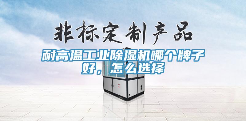耐高溫工業除濕機哪個牌子好,怎么選擇