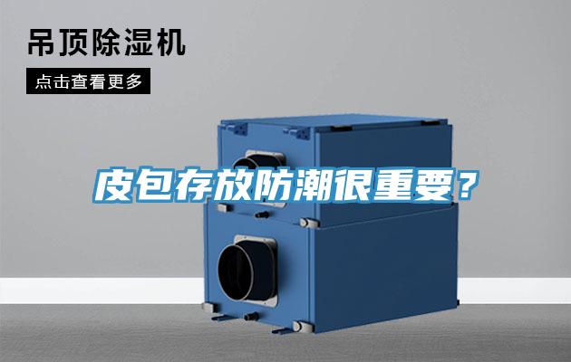 皮包存放防潮很重要?