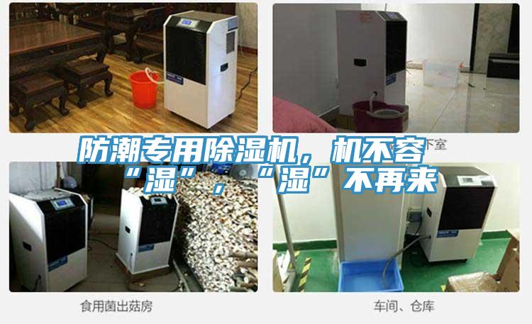 防潮專用除濕機(jī),機(jī)不容“濕”,“濕”不再來