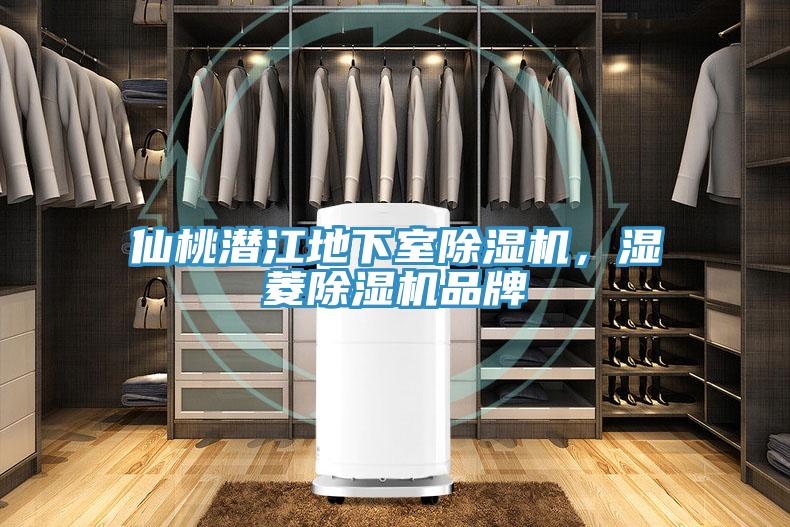 仙桃潛江地下室除濕機(jī)，濕菱除濕機(jī)品牌