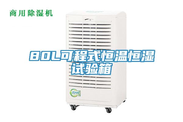 80L可程式恒溫恒濕試驗箱